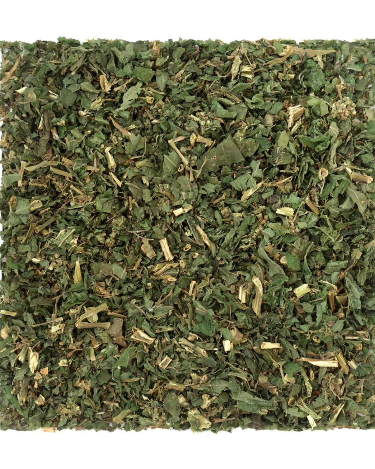 Parietaria